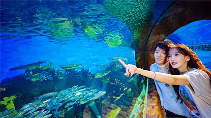 华夏文旅海洋公园第 14 张图片