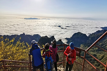 王莽岭风景区第 27 张图片