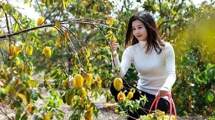 湛江阳光玫瑰葡萄庄园第 28 张图片