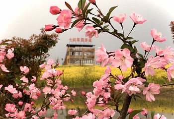 花千谷文化旅游景区第 15 张图片