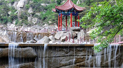青岛茶山第 1 张图片
