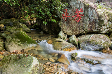 神龙川风景区第 46 张图片
