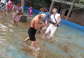 崖山景区第 11 张图片