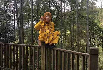 牛姆林生态旅游区第 33 张图片
