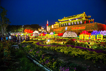 小榄菊花会第 3 张图片