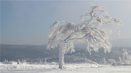 雪乡狗熊岭景区第 30 张图片