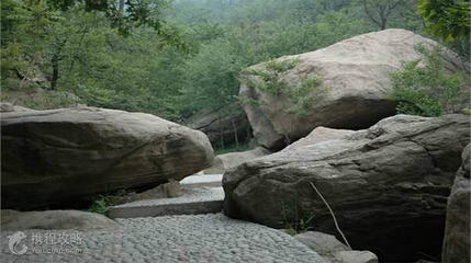 藤龙山风景区第 7 张图片