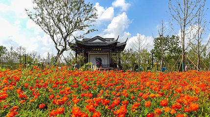 扬州世博园第 5 张图片
