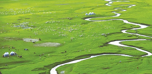 皇家鹿苑湿地公园第 8 张图片