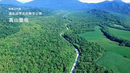 凤凰山国家森林公园第 52 张图片