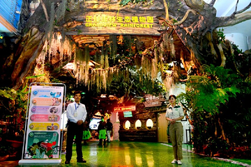 正佳雨林生态植物园第 12 张图片