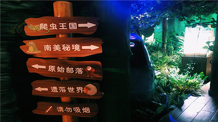 重庆海洋动物世界第 88 张图片