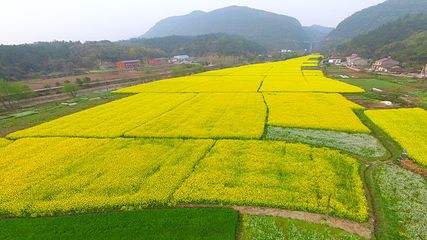 三峡水乡风景区第 13 张图片