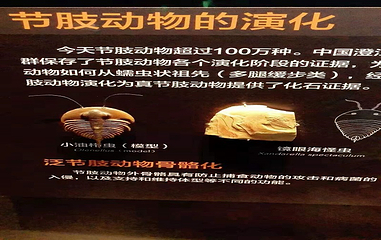 国家海洋博物馆第 91 张图片