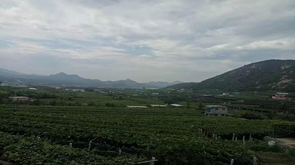 大泽山第 9 张图片