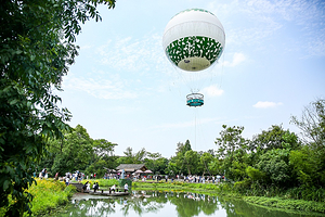 西溪空中揽胜氦气球