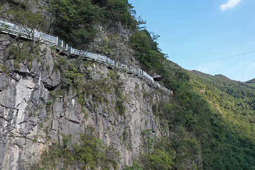 千岛湖石林景区第 49 张图片