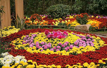 莲花湖国家城市湿地公园第 15 张图片