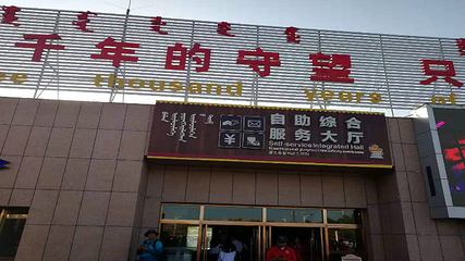 额济纳胡杨林旅游区第 81 张图片