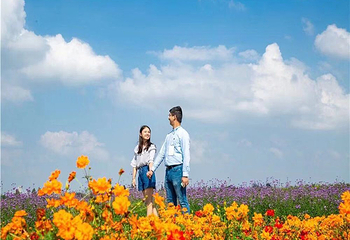 固城湖水慢城第 12 张图片