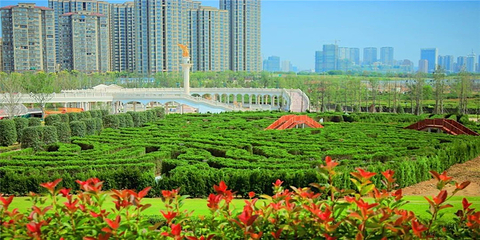 祥源花世界第 30 张图片