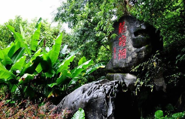 龙硿洞第 16 张图片