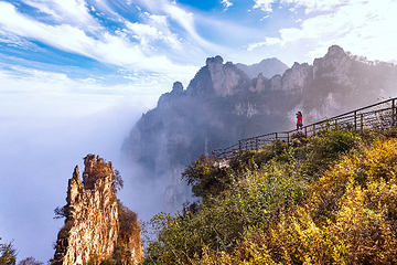 王莽岭风景区第 5 张图片