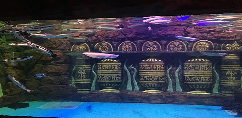 湄公河水底世界第 39 张图片