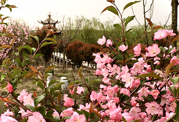 花千谷文化旅游景区第 16 张图片