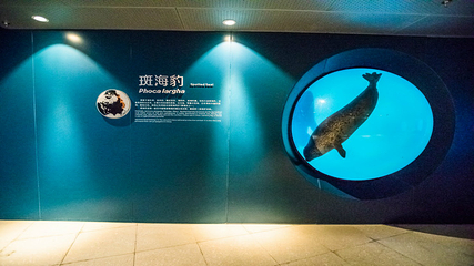青岛海底世界第 177 张图片