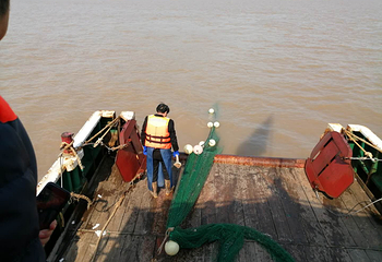 石浦捕鱼第 16 张图片