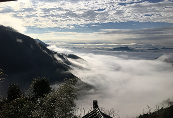 天目山自然保护区第 52 张图片