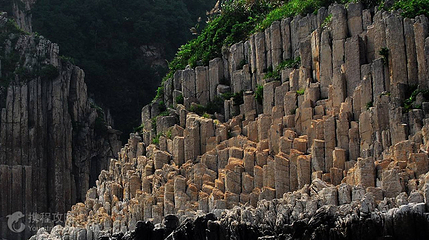 花岙石林第 4 张图片