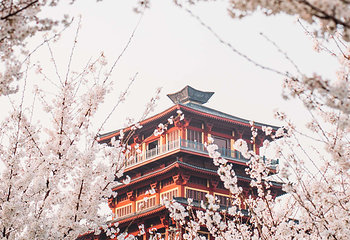 古柏渡飞黄旅游区第 56 张图片