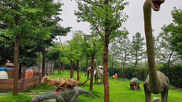 镜湖湿地动物王国