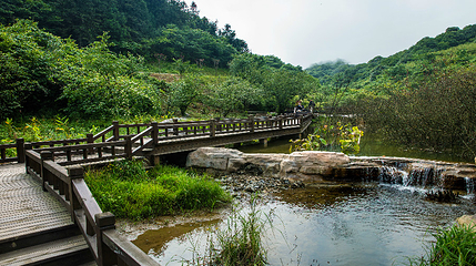 南天湖景区第 66 张图片