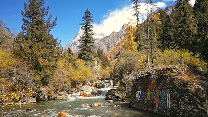 四姑娘山景区第 184 张图片