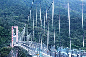 瑞云山森林公园第 21 张图片