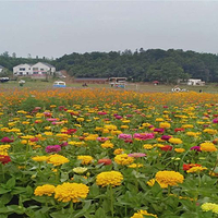 信阳多彩田园龙熙谷