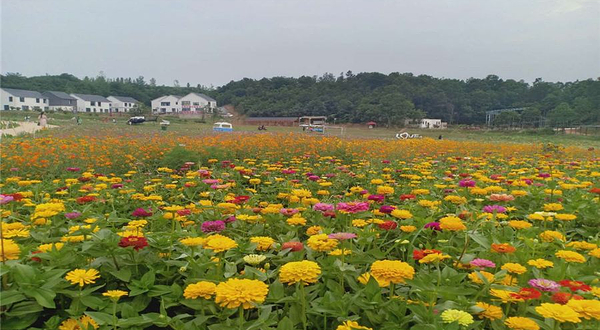 信阳多彩田园龙熙谷