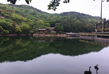 清源山第 34 张图片