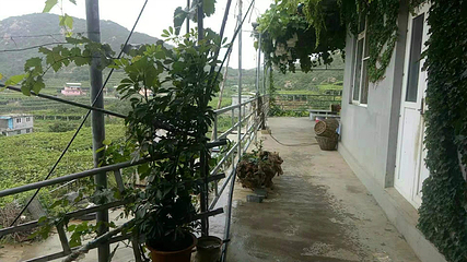 大泽山第 7 张图片