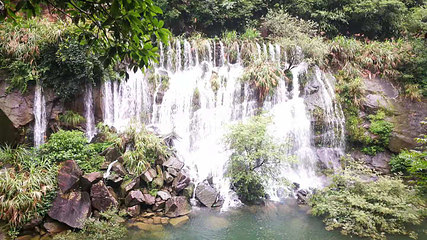 三清山逍遥谷第 48 张图片