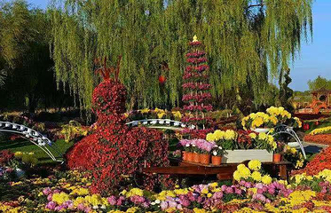 莲花湖国家城市湿地公园第 19 张图片