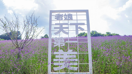 横山花仙谷第 75 张图片