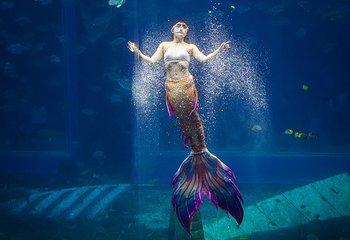 三亚亚特兰蒂斯失落的空间水族馆第 70 张图片