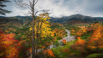二郎山喇叭河风景区第 65 张图片