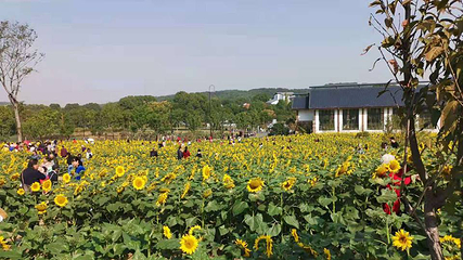东湖生态旅游风景区第 105 张图片