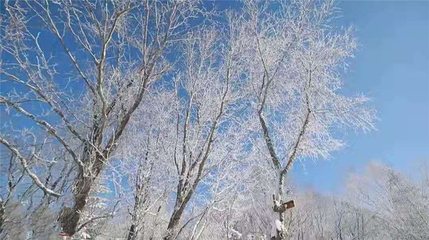 长白山仙峰雪岭景区第 60 张图片