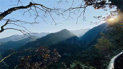 云山国家森林公园第 14 张图片